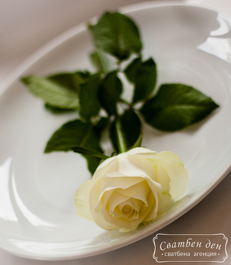 The Dream Wedding хотел Боженци